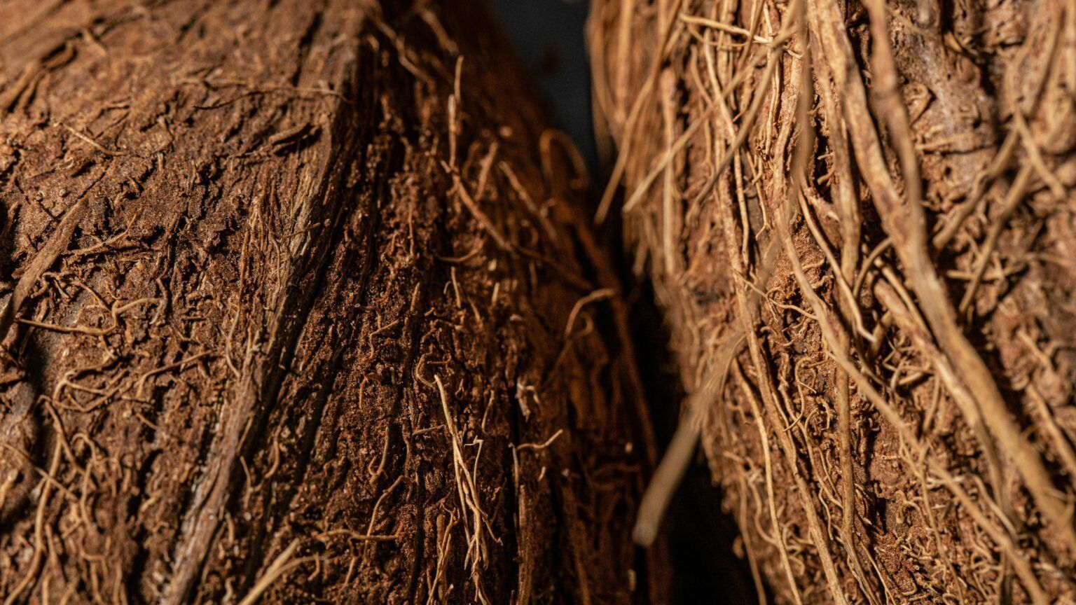 Macetas de Fibra de Coco: 3 razones para elegirlas 2 Fibra de Coco
