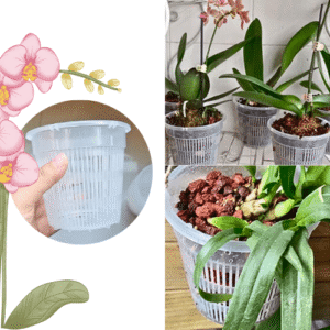 Maceta de Plástico Transparente para Orquídeas