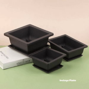 maceta para bonsai