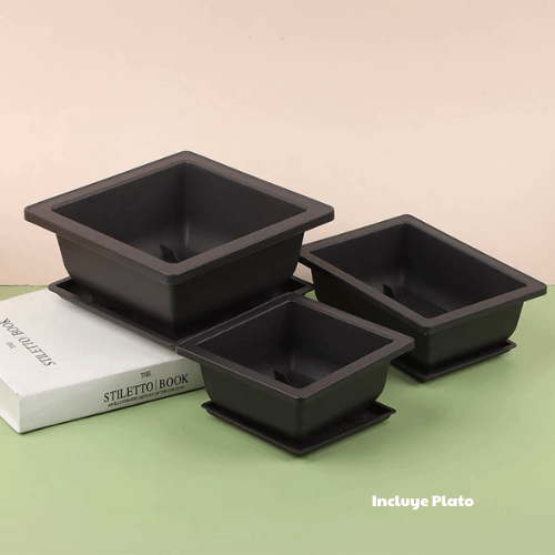 69 maceta para bonsai