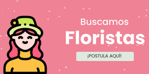 Diseno sin titulo