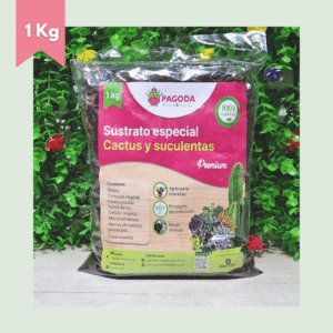 sustrato para cactus y suculentas