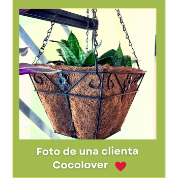 Increíble Guia de cómo sembrar en macetas de fibra de coco en 3 pasos 6 Diseno sin titulo 1