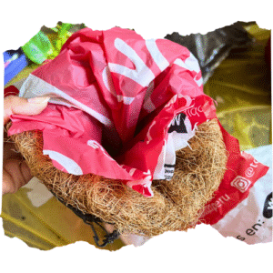 Increíble Guia de cómo sembrar en macetas de fibra de coco en 3 pasos 4 sembrar en macetas de fibra de coco