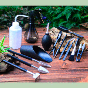 kit de herramientas para suculentas