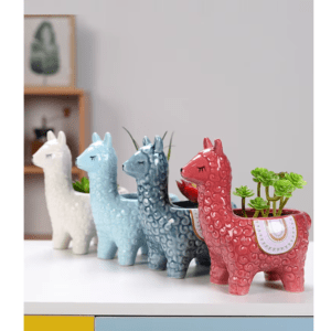maceta de llama