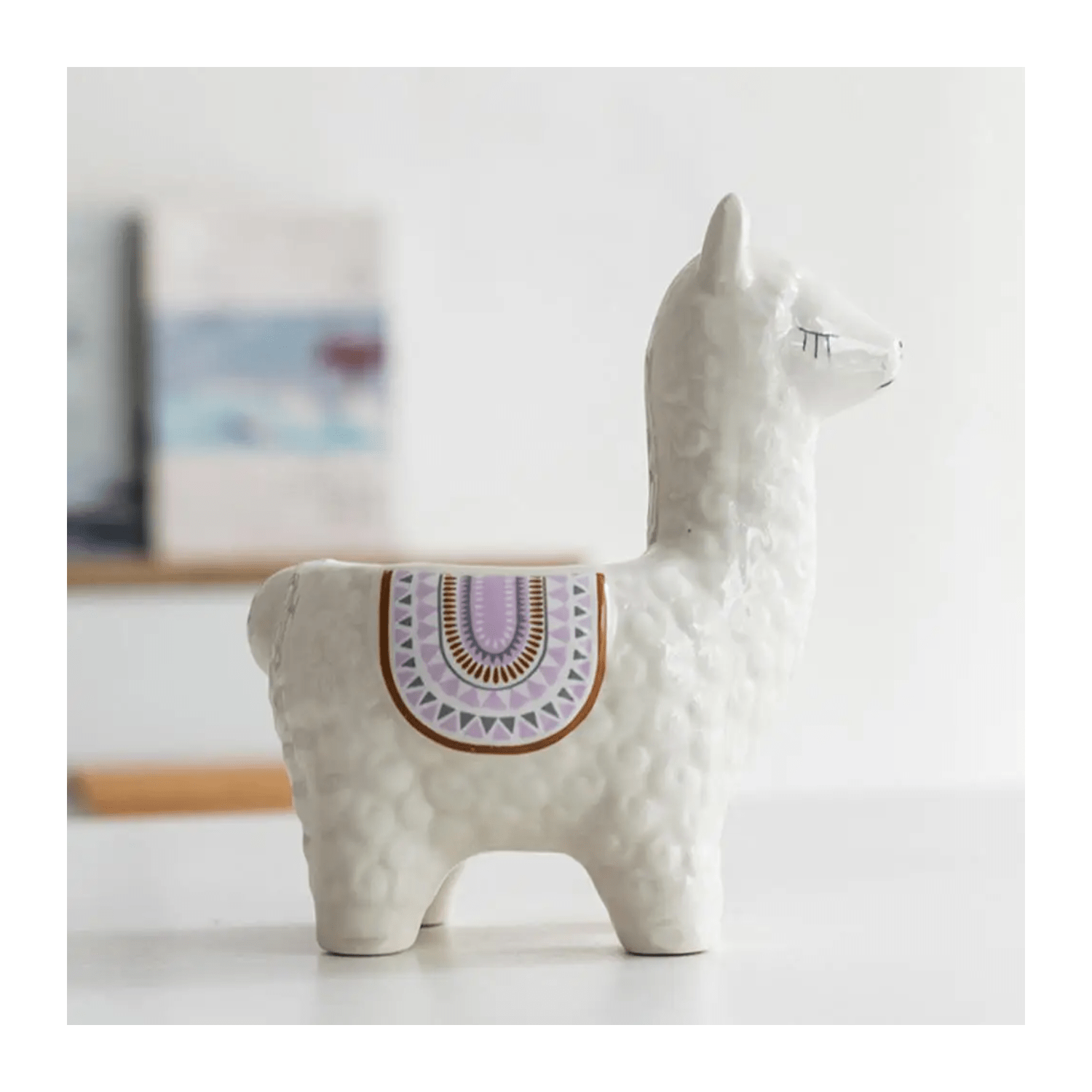 43 maceta de llama
