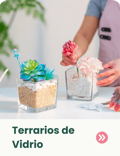 terrarios de vidrio