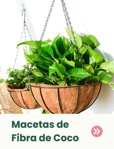 macetas de fibra de coco