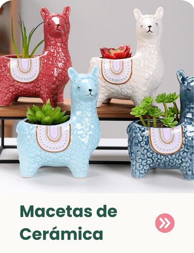 macetas de cerámica